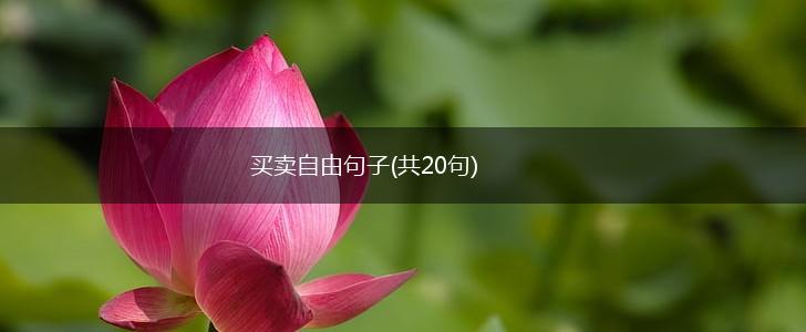买卖自由句子(共20句),第1张
