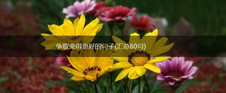 争取变得更好的句子(汇总60句),第1张
