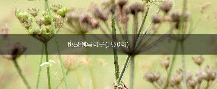 也是例写句子(共50句),第1张