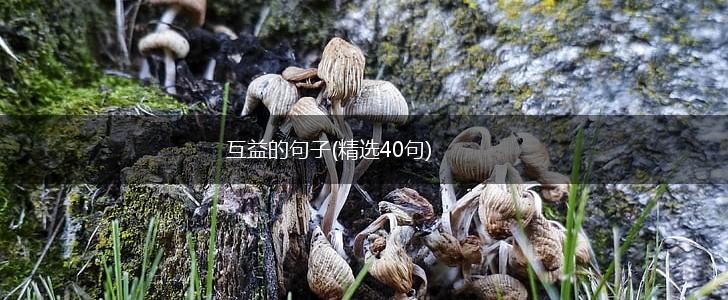 互益的句子(精选40句),第1张