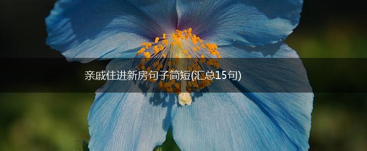 亲戚住进新房句子简短(汇总15句),第1张