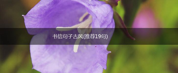 书信句子古风(推荐19句),第1张