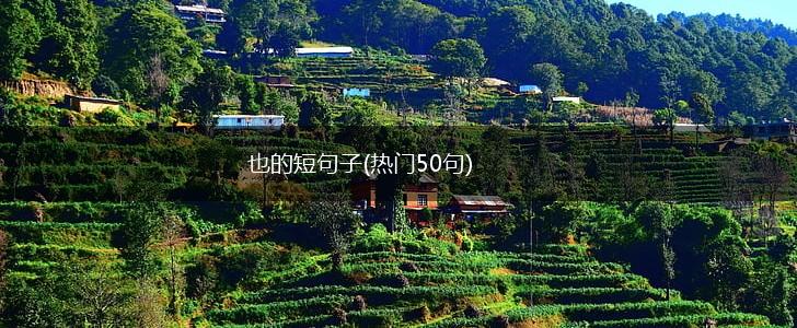 也的短句子(热门50句),第1张