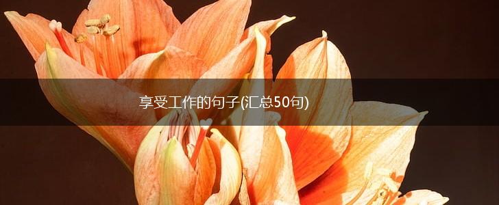 享受工作的句子(汇总50句),第1张