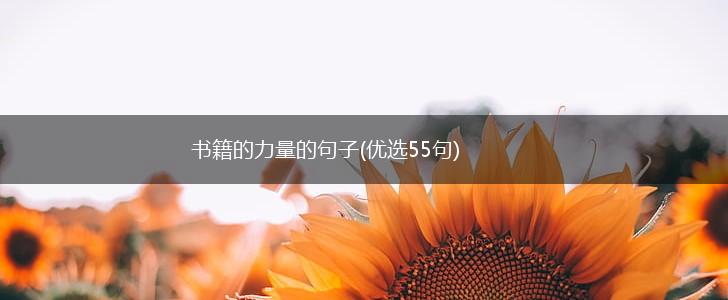 书籍的力量的句子(优选55句),第1张
