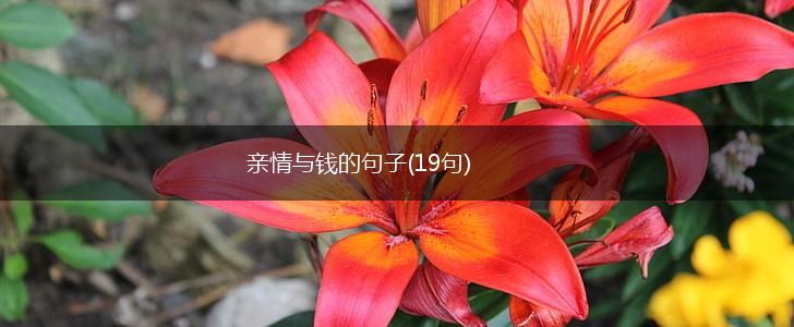 亲情与钱的句子(19句),第1张