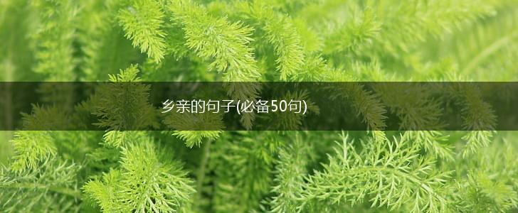 乡亲的句子(必备50句),第1张