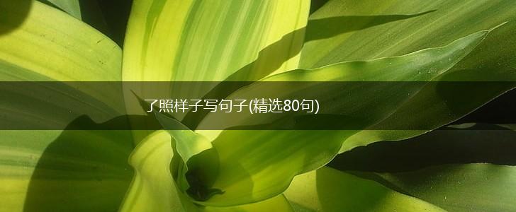 了照样子写句子(精选80句),第1张
