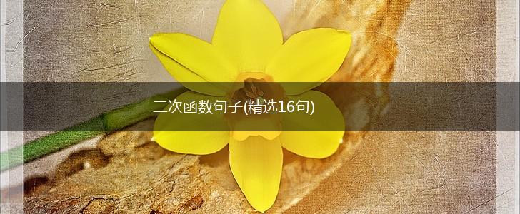 二次函数句子(精选16句),第1张
