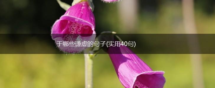于哪些谦虚的句子(实用40句),第1张