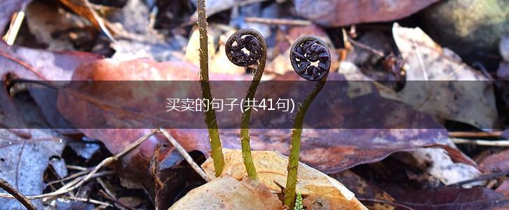 买卖的句子(共41句),第1张