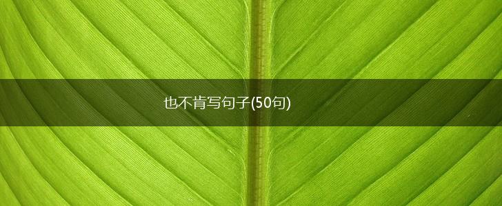 也不肯写句子(50句),第1张