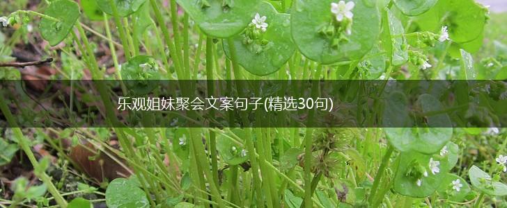 乐观姐妹聚会文案句子(精选30句),第1张
