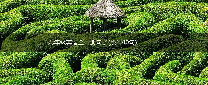 九年级英语全一册句子(热门40句),第1张
