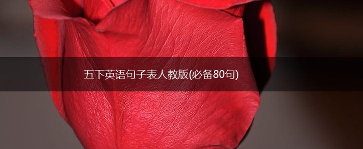 五下英语句子表人教版(必备80句),第1张