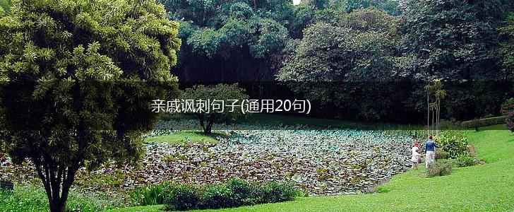 亲戚讽刺句子(通用20句),第1张