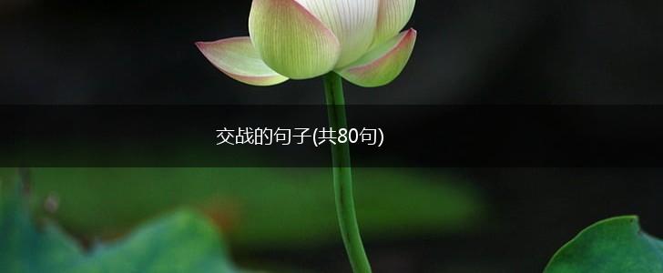 交战的句子(共80句),第1张