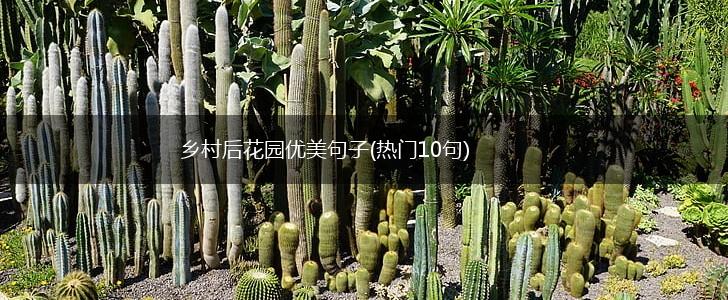 乡村后花园优美句子(热门10句),第1张