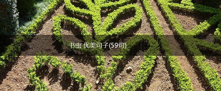 书虫 优美句子(59句),第1张