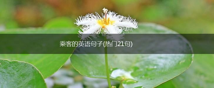 乘客的英语句子(热门21句),第1张