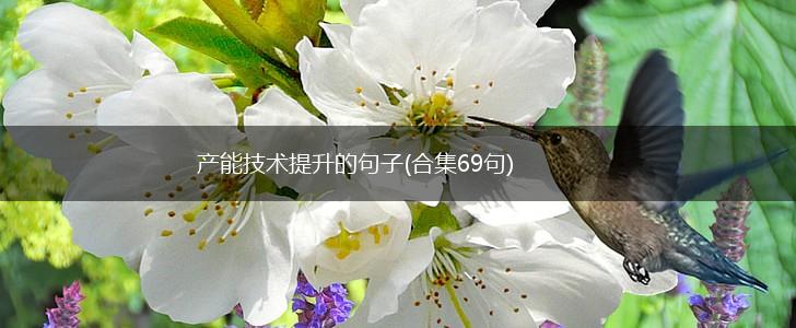 产能技术提升的句子(合集69句),第1张