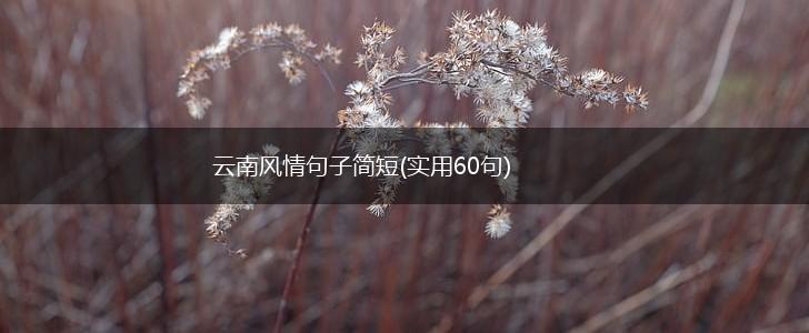 云南风情句子简短(实用60句),第1张
