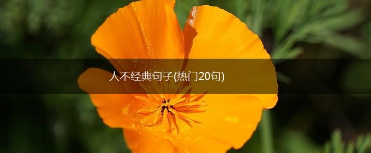 人不经典句子(热门20句),第1张