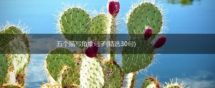 五个描写角度句子(精选30句),第1张