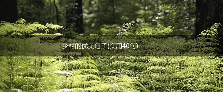 乡村的优美句子(实用40句),第1张