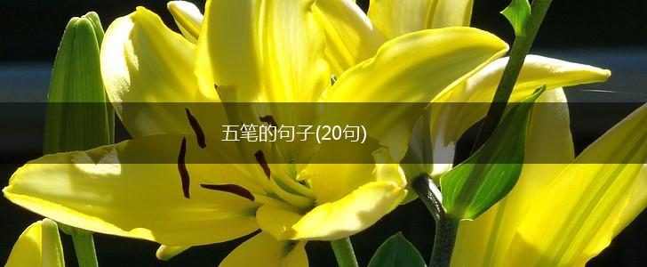五笔的句子(20句),第1张