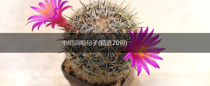 书组词组句子(精选20句),第1张