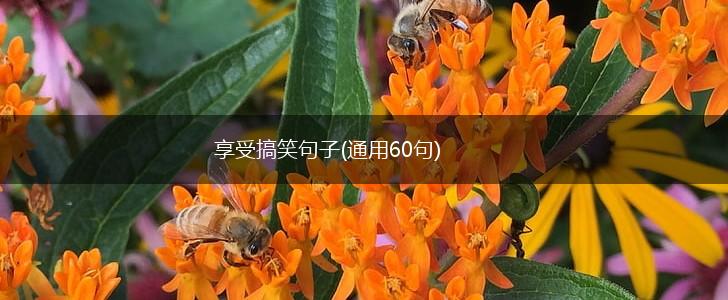 享受搞笑句子(通用60句),第1张