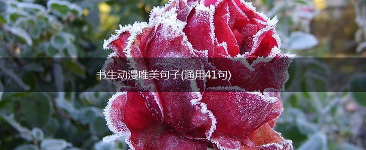 书生动漫唯美句子(通用41句),第1张