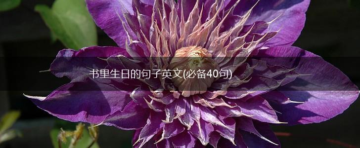 书里生日的句子英文(必备40句),第1张