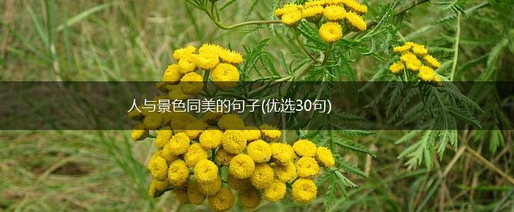人与景色同美的句子(优选30句),第1张
