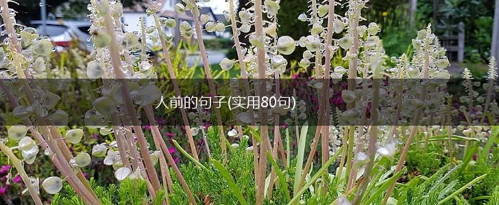 人前的句子(实用80句),第1张