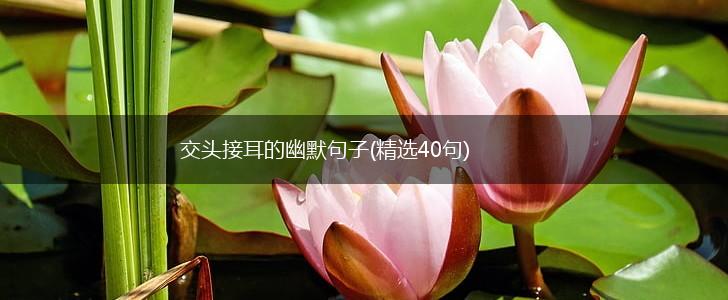 交头接耳的幽默句子(精选40句),第1张