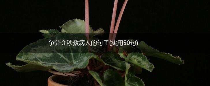 争分夺秒救病人的句子(实用50句),第1张
