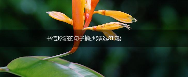 书信珍藏的句子摘抄(精选81句),第1张