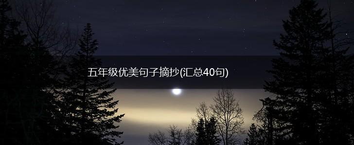 五年级优美句子摘抄(汇总40句),第1张