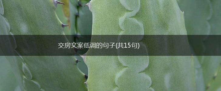 交房文案低调的句子(共15句),第1张