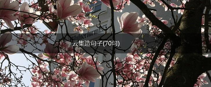 云集造句子(70句),第1张