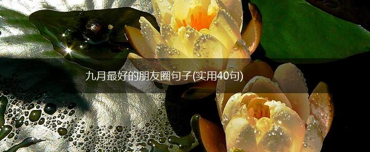 九月最好的朋友圈句子(实用40句),第1张