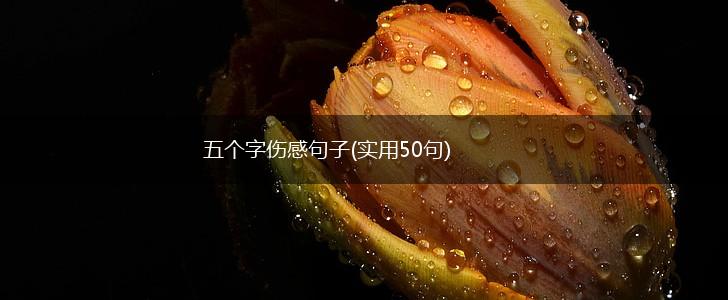 五个字伤感句子(实用50句),第1张