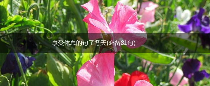 享受休息的句子冬天(必备81句),第1张