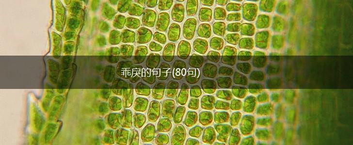 乖戾的句子(80句),第1张