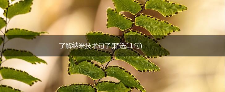 了解纳米技术句子(精选11句),第1张
