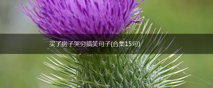 买了房子哭穷搞笑句子(合集15句),第1张