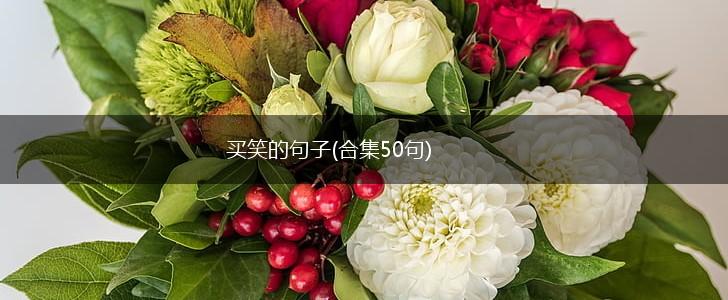 买笑的句子(合集50句),第1张