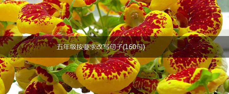 五年级按要求改写句子(160句),第1张